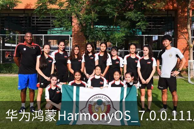 华为鸿蒙HarmonyOS 7.0.0.111版本更多“隐藏”新特性盘点，深色模式随日出日落切换等功能下放