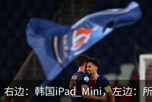 右边：韩国iPad Mini，左边：所有其他国家的iPad Mini