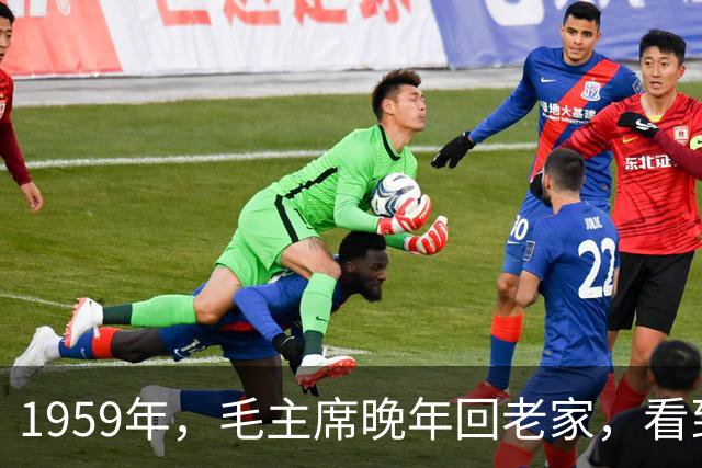 1959年，毛主席晚年回老家，看到杨开慧照片，决定见贺子珍一面